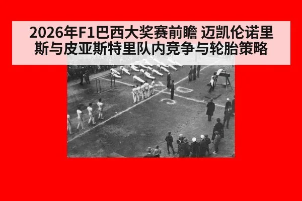 2026年F1巴西大奖赛前瞻 迈凯伦诺里斯与皮亚斯特里队内竞争与轮胎策略
